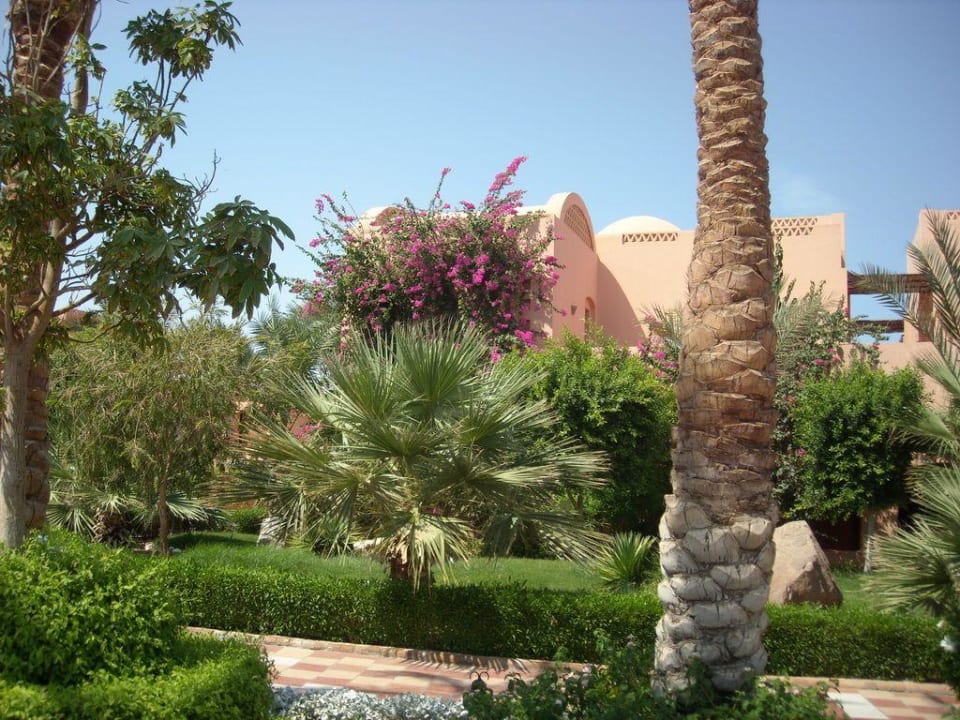 Makadi Oasis Jaz Makadi Oasis Resort