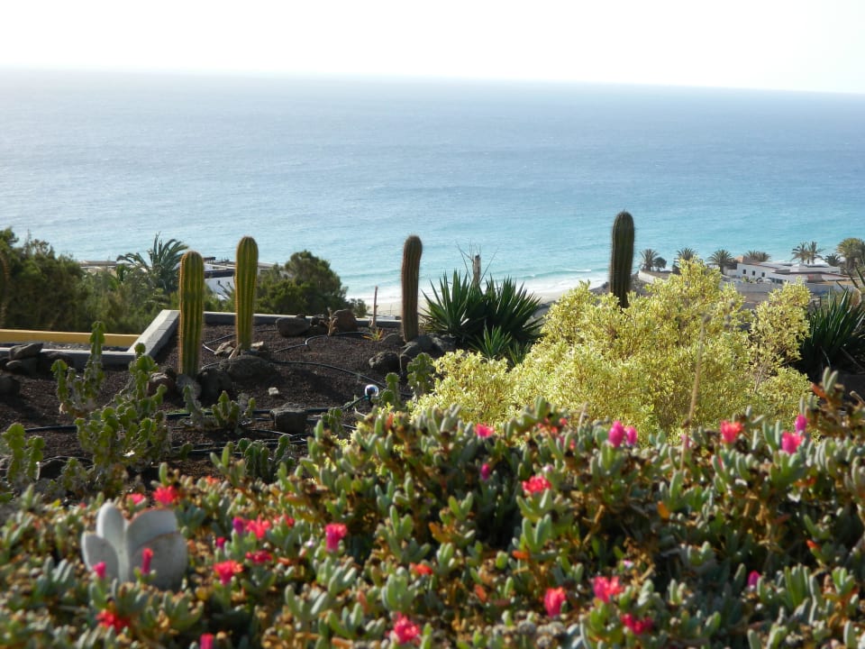 Traumblick von der Poolbar.. AluaVillage Fuerteventura