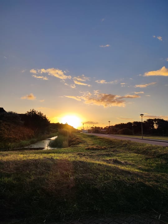 Ausblick Dormio Villapark Duynzicht
