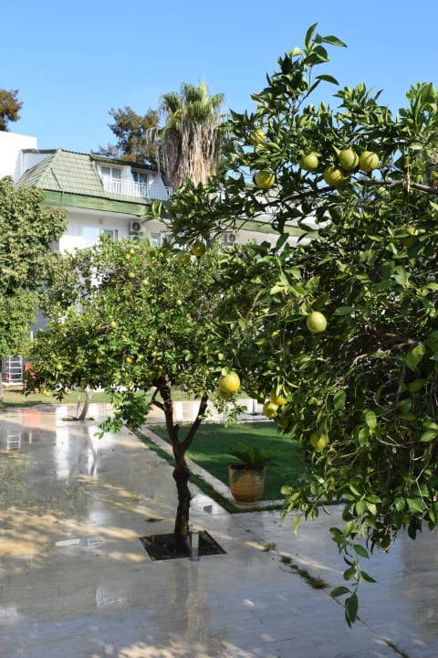 Gartenanlage Armas Gül Beach