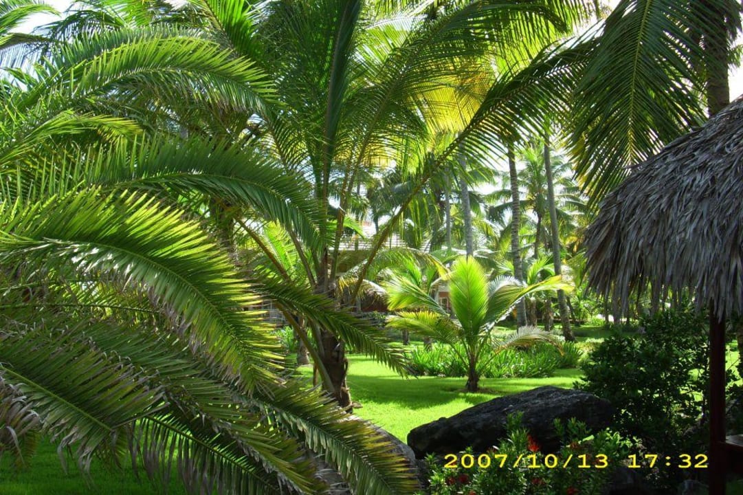 Palmenpracht Hotel Grand Palladium Palace Resort, Spa & Casino