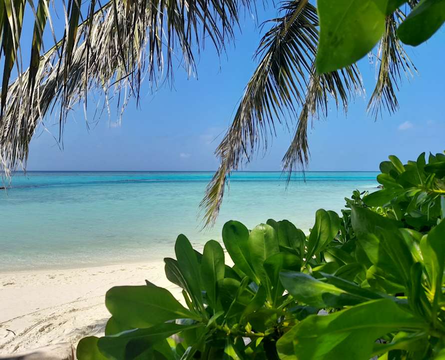 Strand Summer Island Maldives