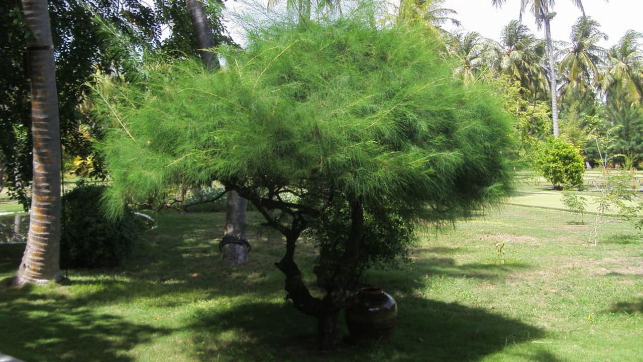 Garten Villa Park Sun Island