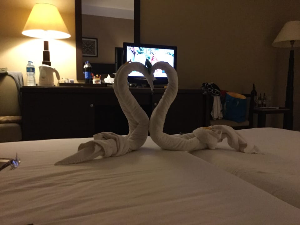 Zimmer Jaz Dar EL Madina