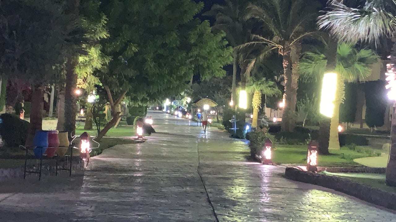 Gartenanlage Ali Baba Palace Resort