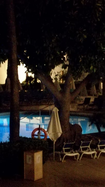 Ausblick Alcudia Garden Aparthotel