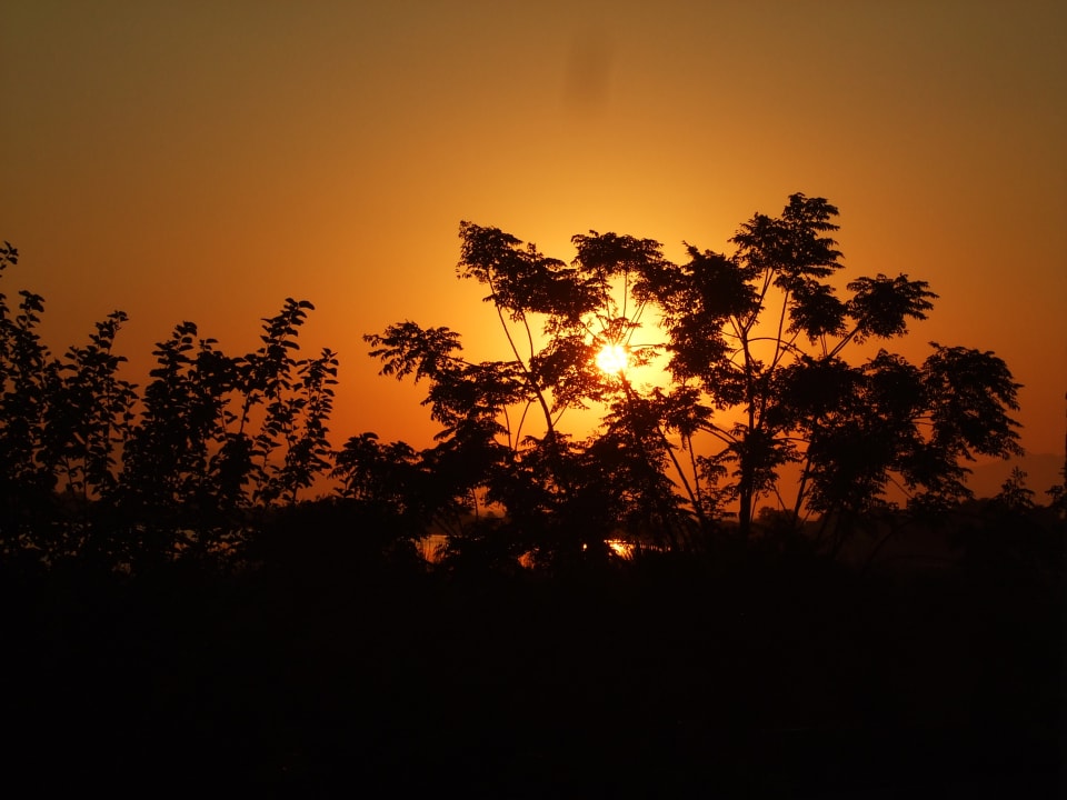 Ausblick Hotel Tigaki's Star