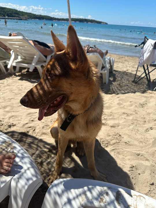 Strand Alya Butik Otel