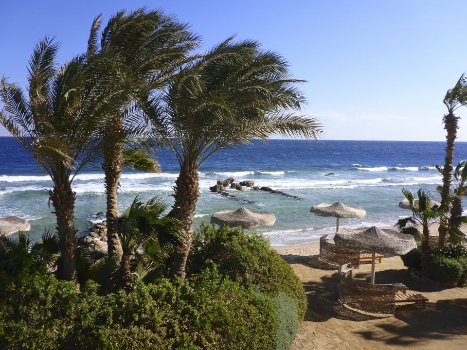 Strand Pickalbatros Citadel Resort