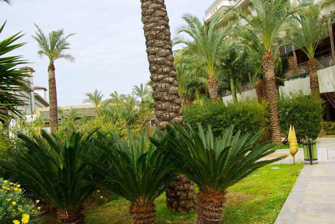 Anlage Sunis Kumköy Beach Resort Hotel & Spa