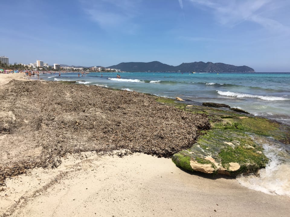 Strand allsun Hotel Borneo - Adults only