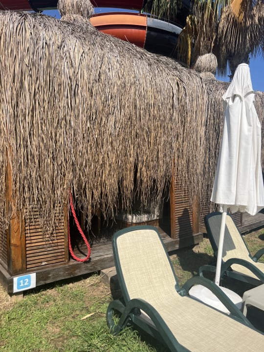 Zimmer Crystal Flora Pearl Collection