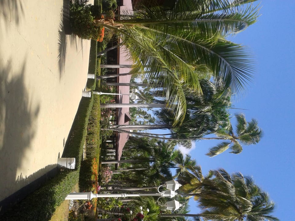 Hotel Vista Sol Punta Cana Vista Sol Punta Cana