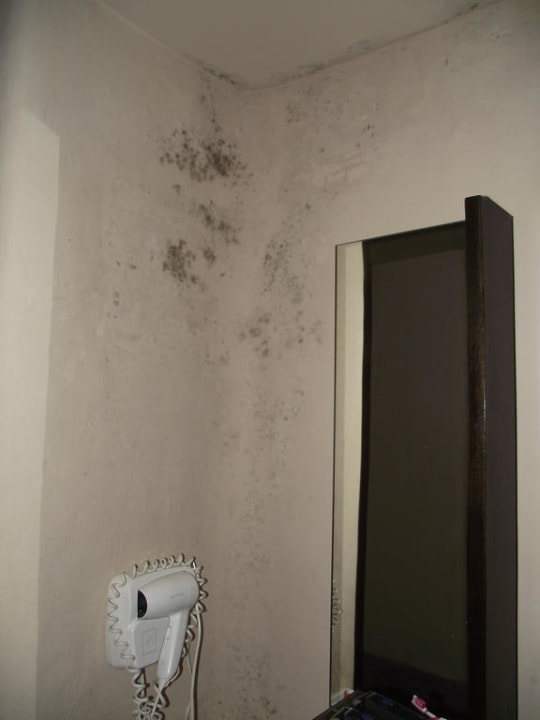 Schimmel im Bad Punnpreeda Beach Resort