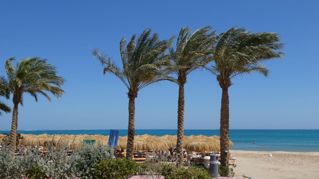 Strand Sentido Caribbean World Soma Bay