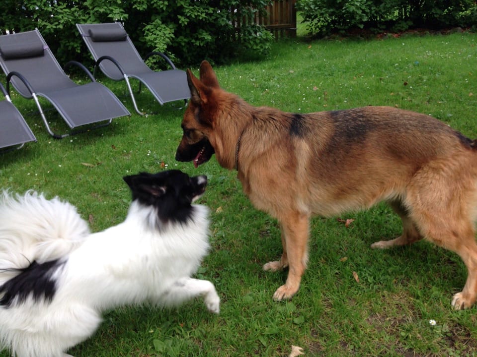 Und noch mehr toben  GRUBERS Hotel Apartments Gastein