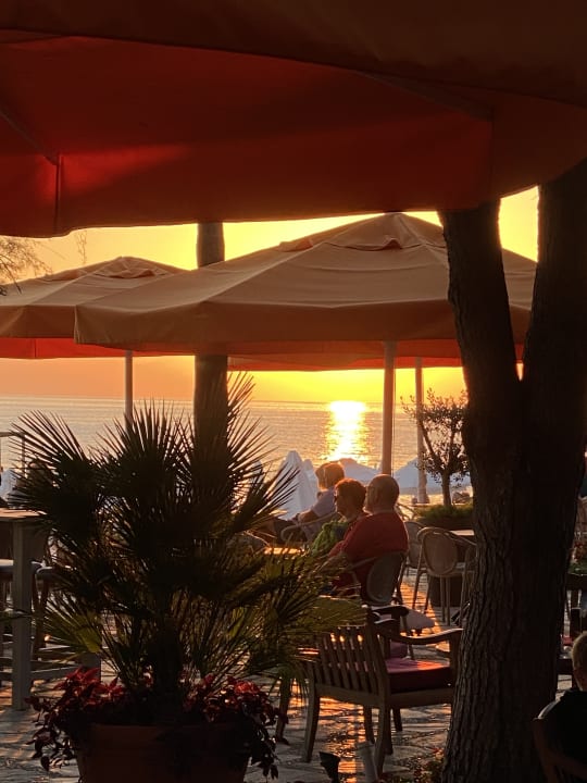 Gastro Arum Barut Collection