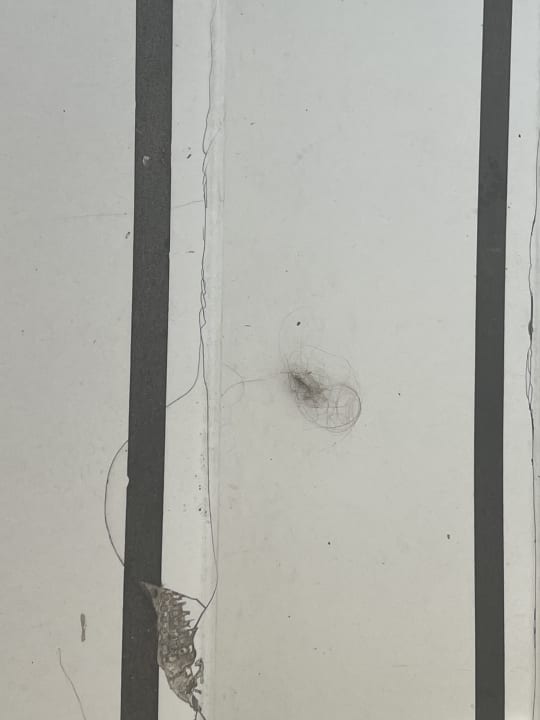 Zimmer Dragut Point South Hotel