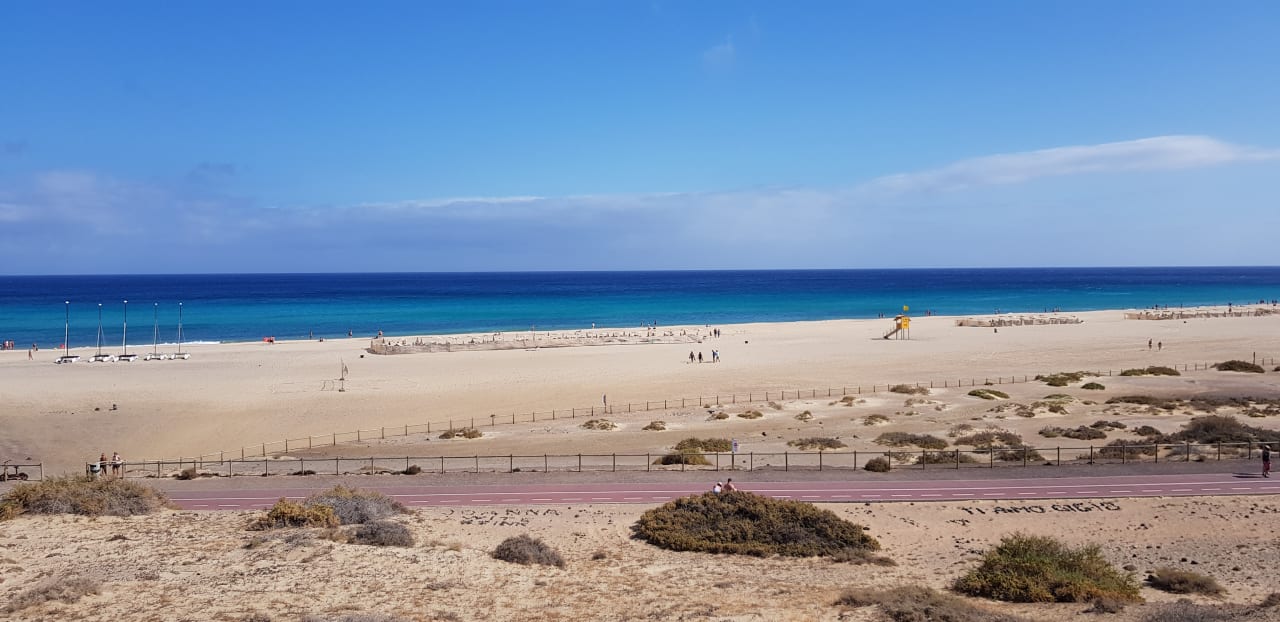 Ausblick Iberostar Waves Gaviotas Park
