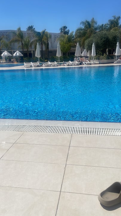 Pool Royal Taj Mahal Hotel