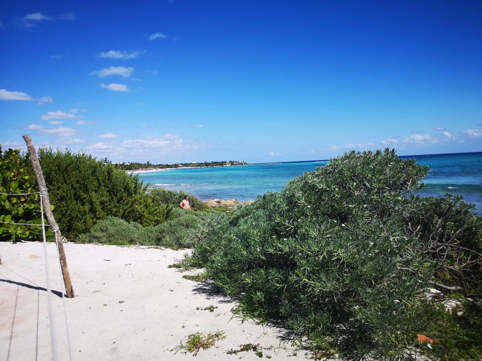 Außenansicht Akumal Bay Beach & Wellness Resort