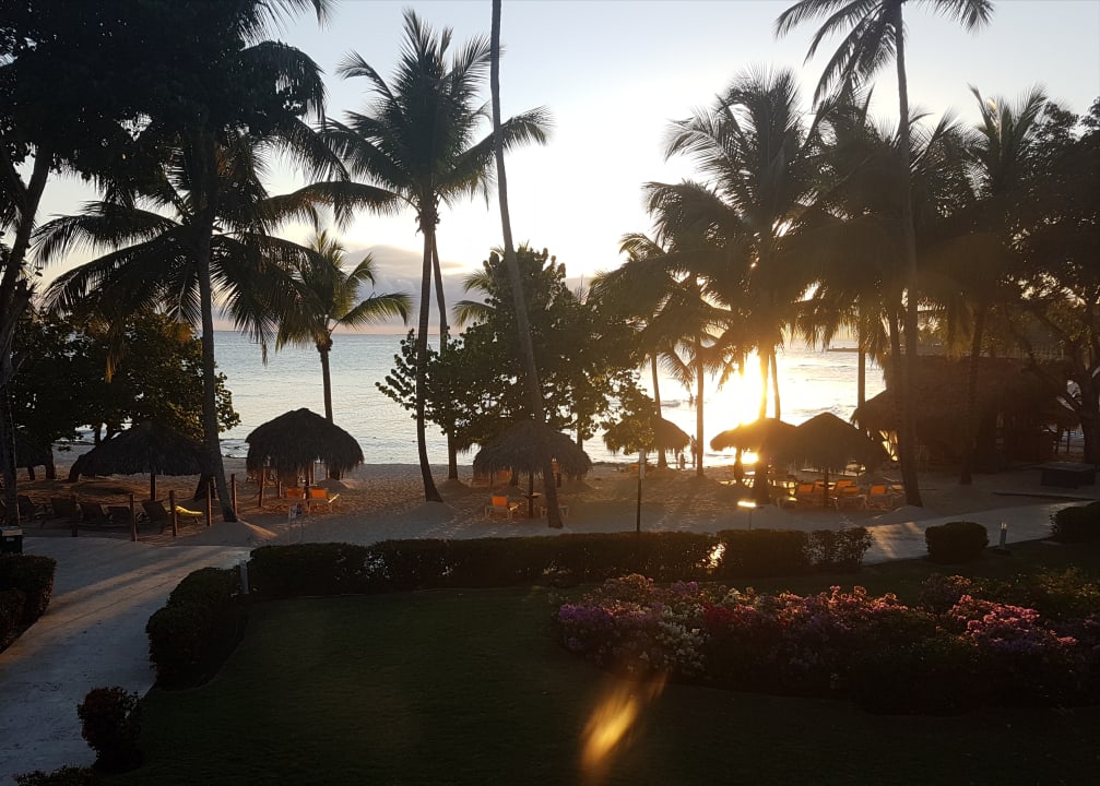 Garten Hotel Viva Dominicus Palace by Wyndham-All Inclusive Resort