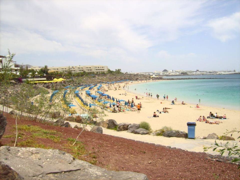 kleiner aber feiner Strand Dreams Lanzarote Playa Dorada Resort & Spa
