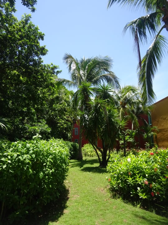 Gartenanlage Catalonia Playa Maroma