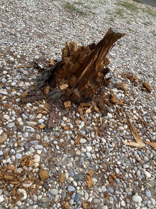 Strand Bluesun Hotel Jadran