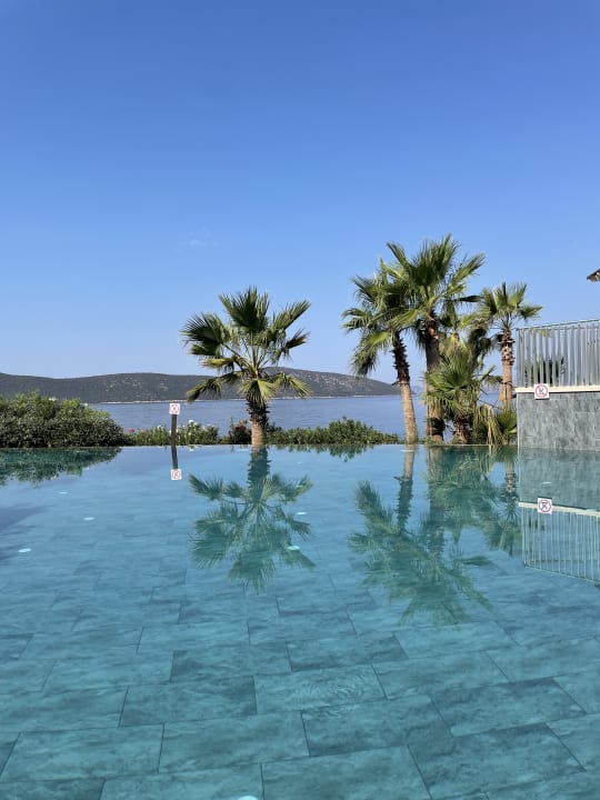 Pool TUI MAGIC LIFE Bodrum - Adult Only (16+)