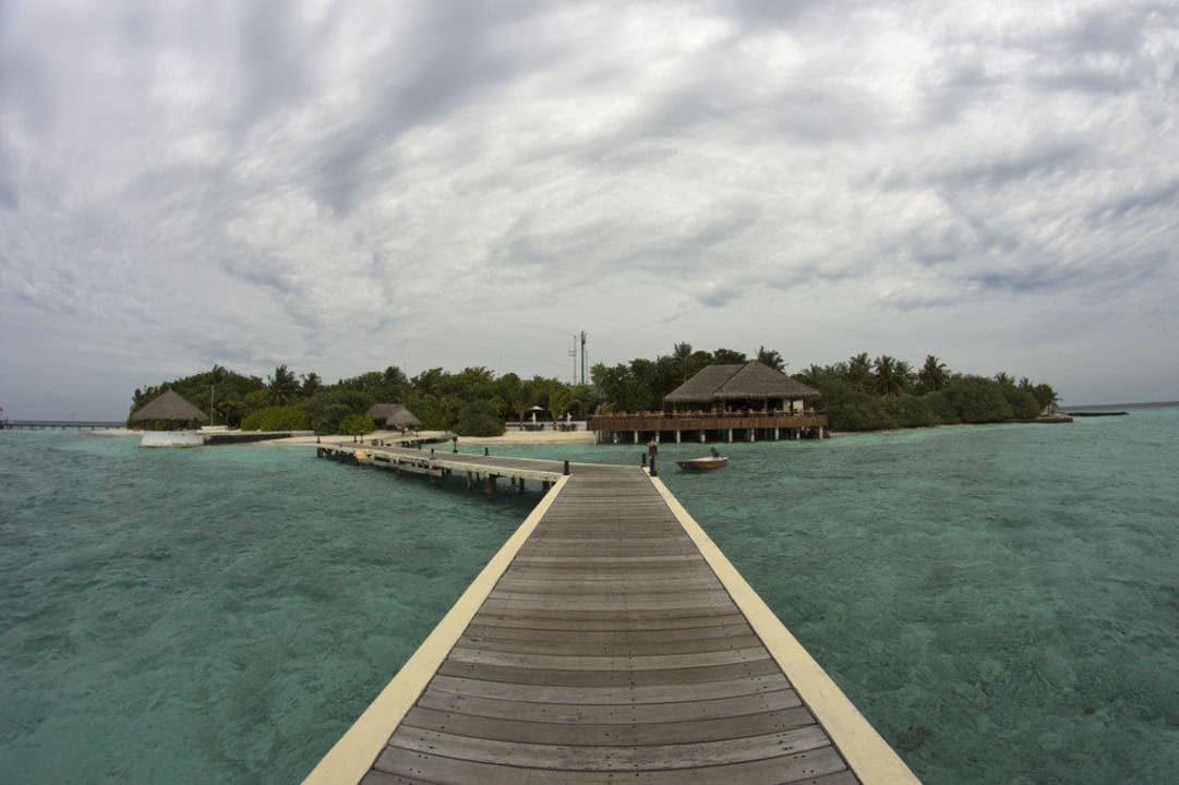 Eriyadu Island Eri Maldives