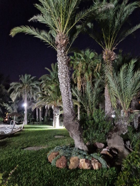 Gartenanlage Marhaba Royal Salem