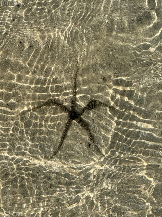 Strand Casa Mare Resort