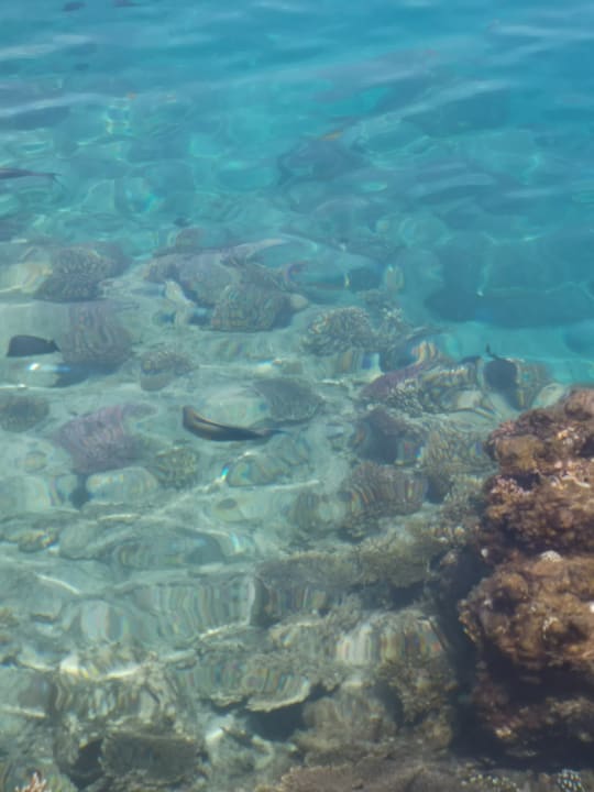 Strand Arabia Azur Resort