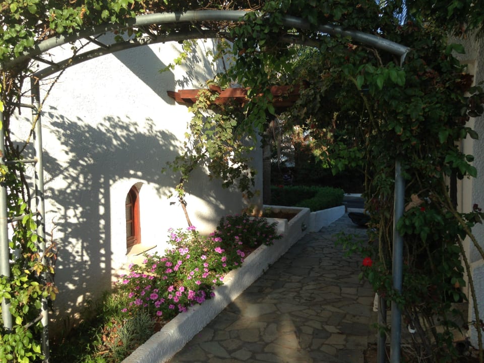 Wege zwischen den Bungalows Sentido Kyknos Beach Adults Only 16+