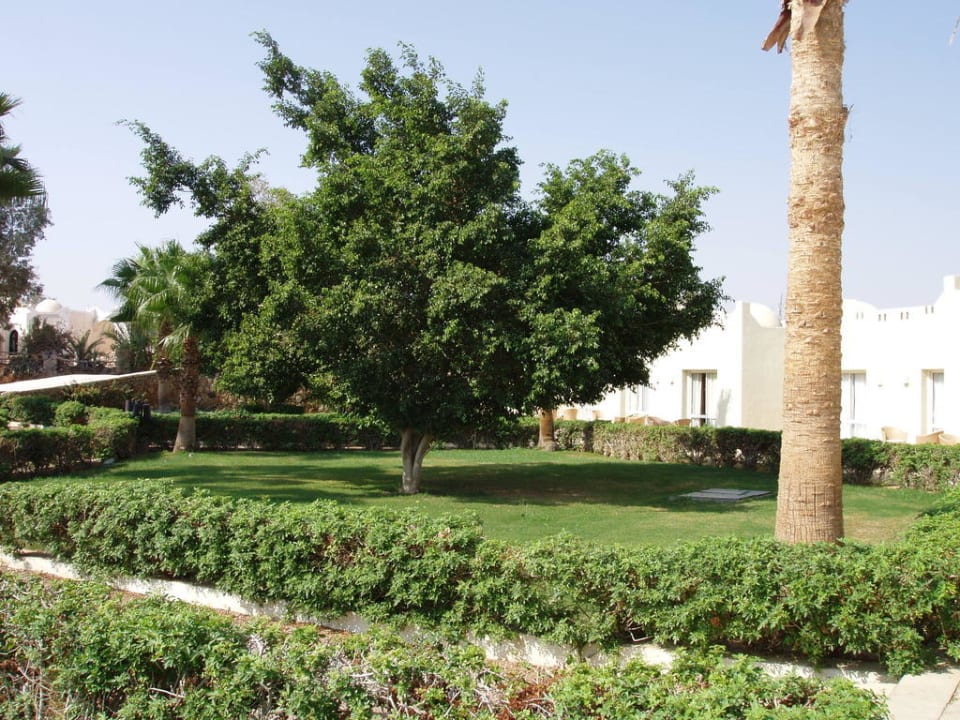 Zimmer 325 - Gartenansicht Reef Oasis Beach Resort