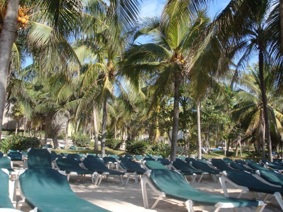 Hotelstrand RIU Tequila Hotel Riu Tequila