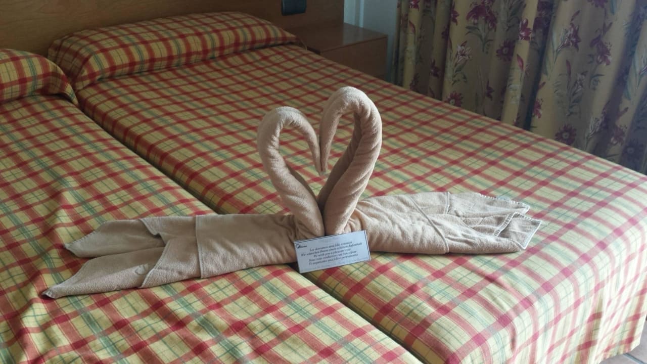 Zimmer so wird man immer wieder empfangen SBH Club Paraiso Playa