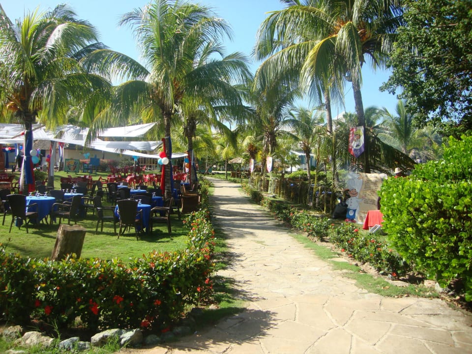 Kubatag Royalton Hicacos Resort & Spa - Adults only