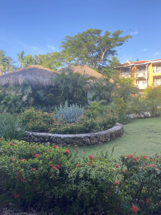 Gartenanlage Hotel Viva Dominicus Palace by Wyndham-All Inclusive Resort