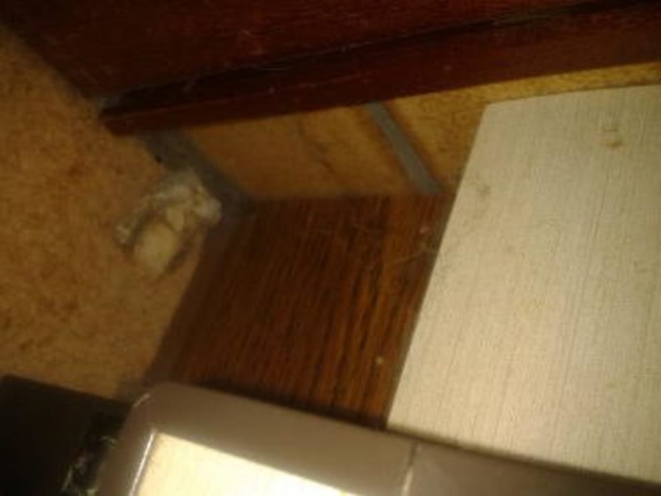 Küche Zimmerecke Ferienwohnung Fubel