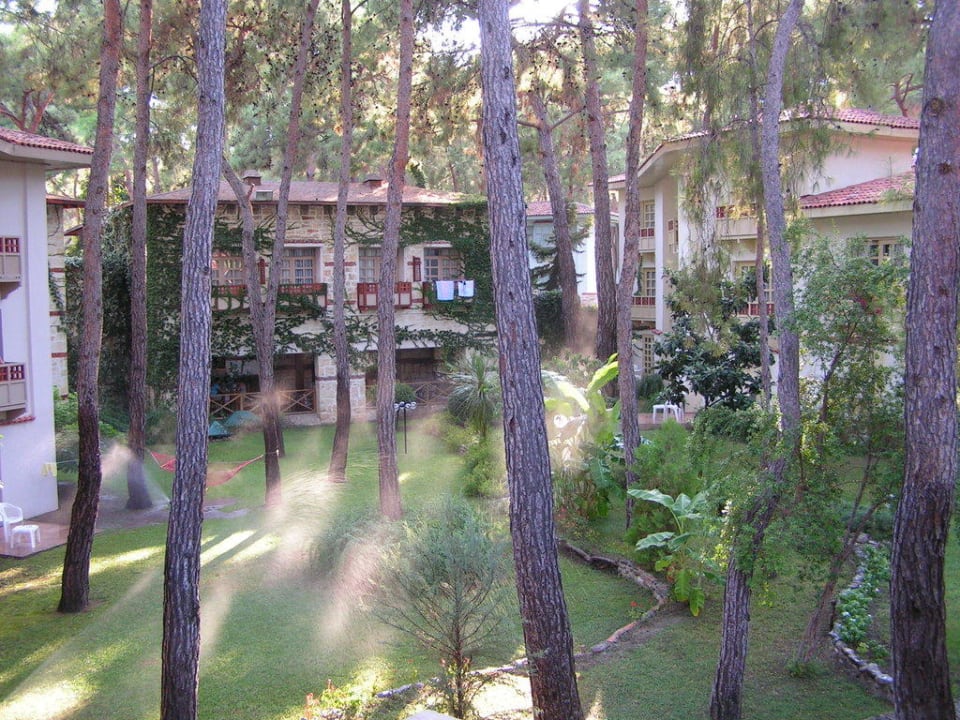 Blick aus dem Zimmer Ulusoy Kemer Holiday Club