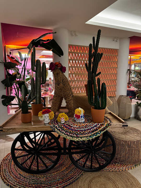 Gastro Iberostar Selection Albufera Park