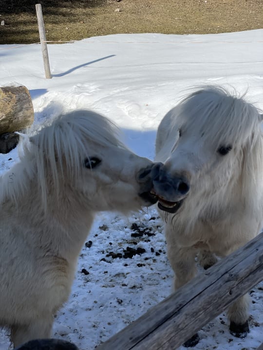 Gartenanlage Oberjoch - Familux Resort