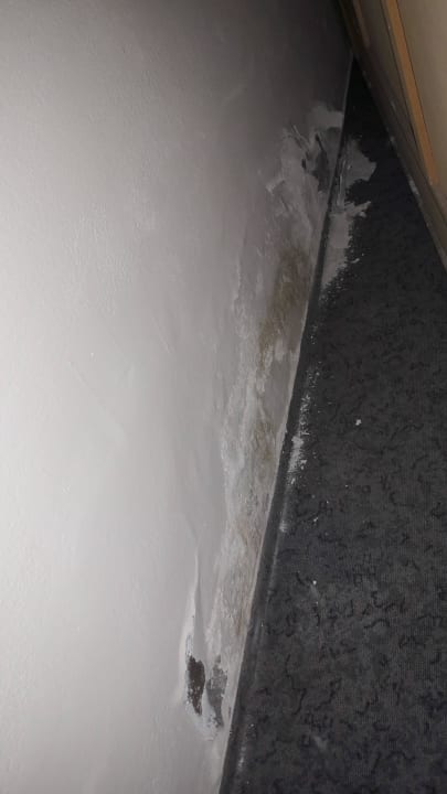 Schimmel an der Wand Zedernhof Gesundheits- & Wellnesshotel