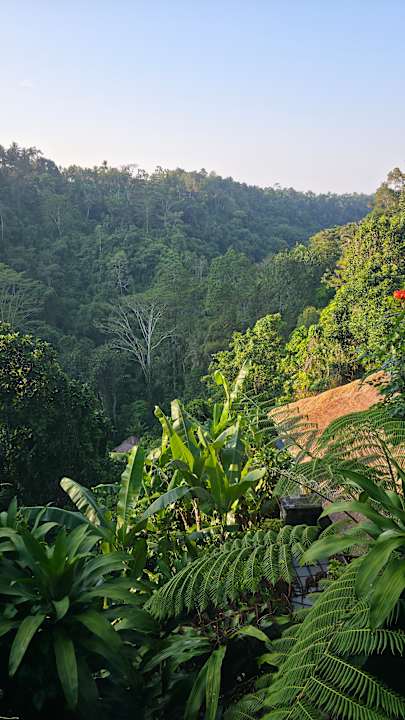 Gartenanlage Hanging Gardens of Bali