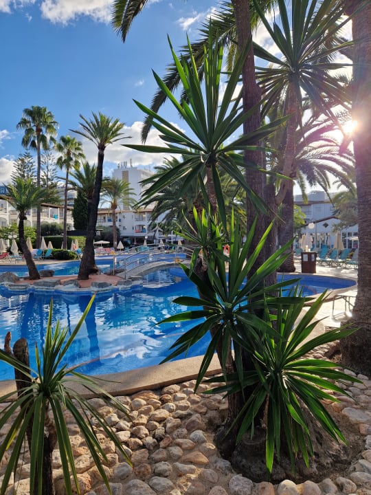 Pool Alcudia Garden Aparthotel