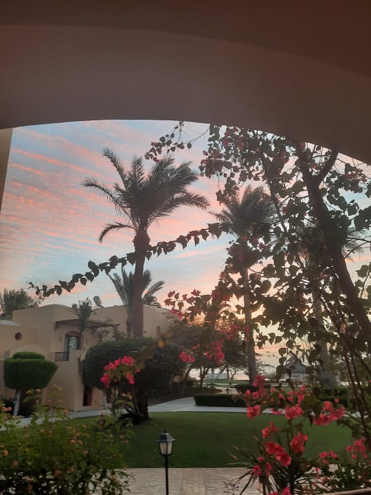 Ausblick Steigenberger Coraya Beach - Adults only