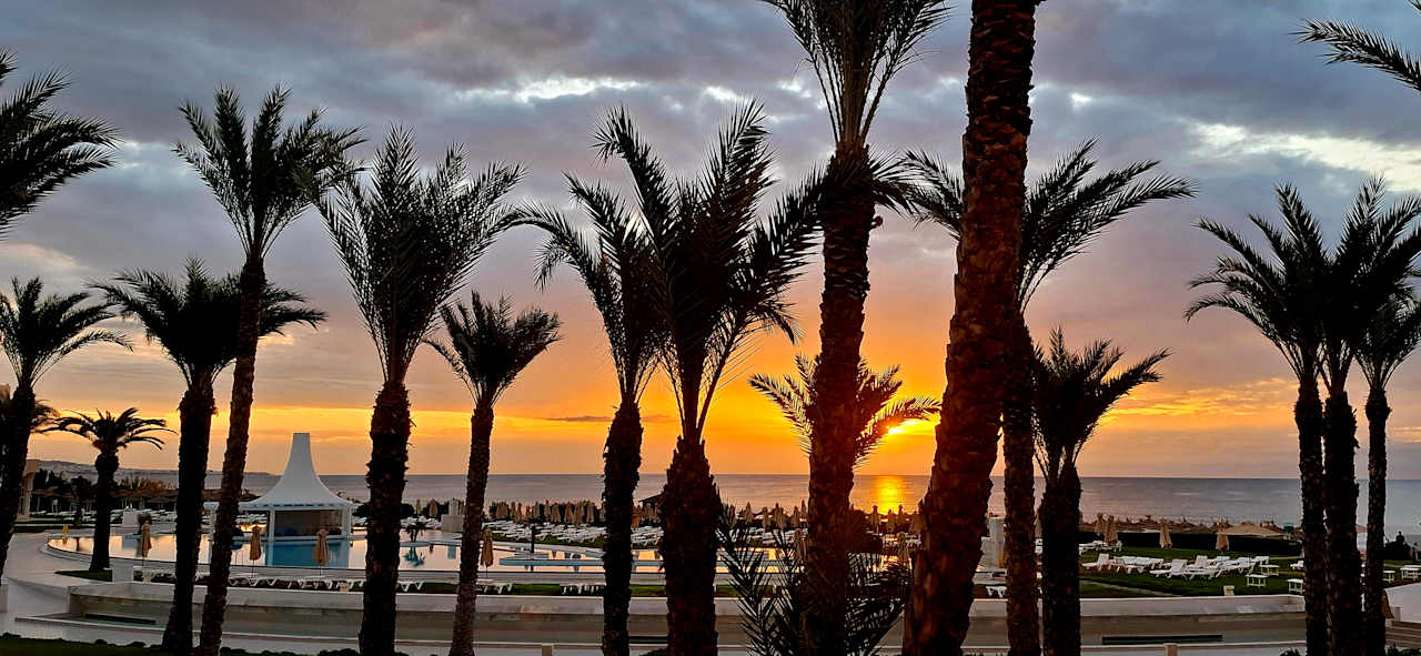 Ausblick Iberostar Waves Averroes