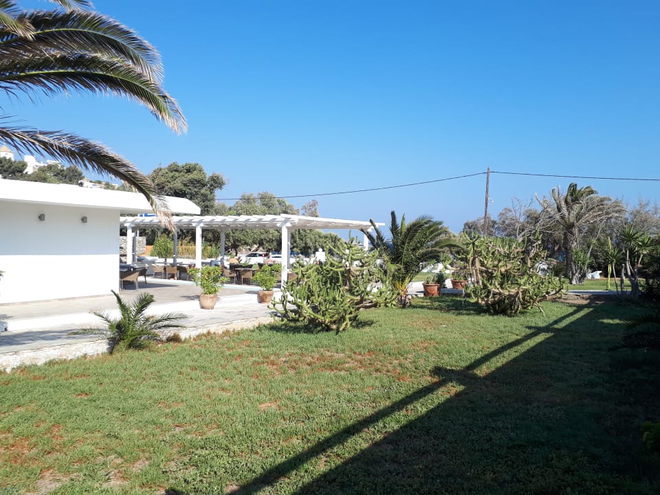 Gartenanlage Aphrodite Beach Resort Hotel